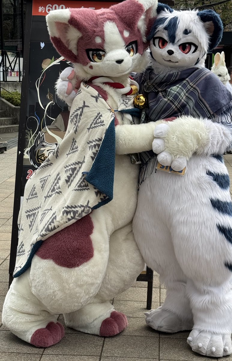 Sigma➡️kemocon on X