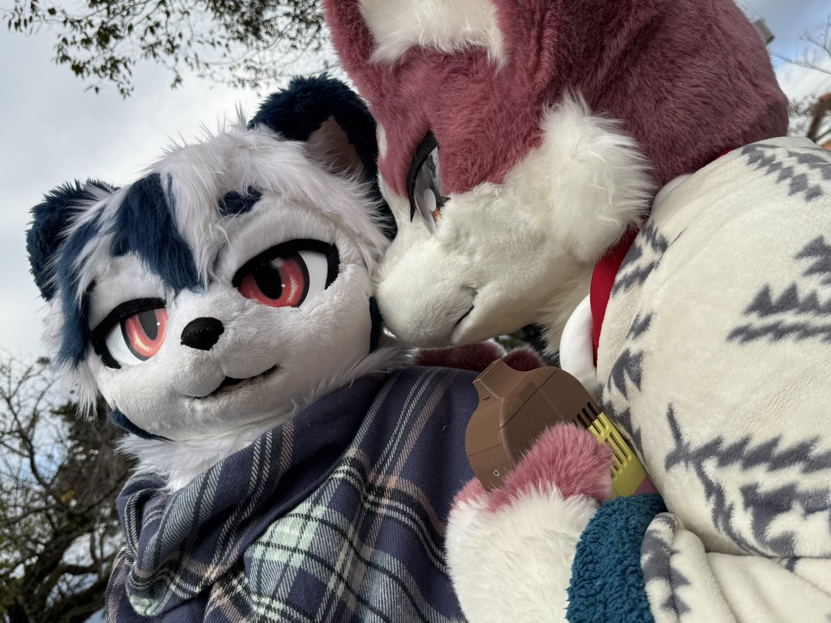 Sigma➡️kemocon on X