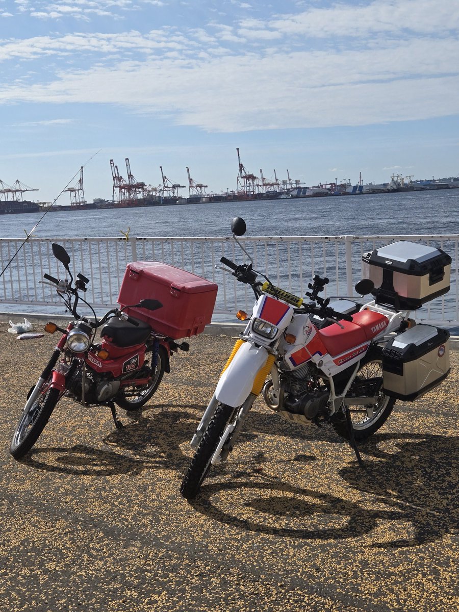 ヘルシェイク矢野 on X