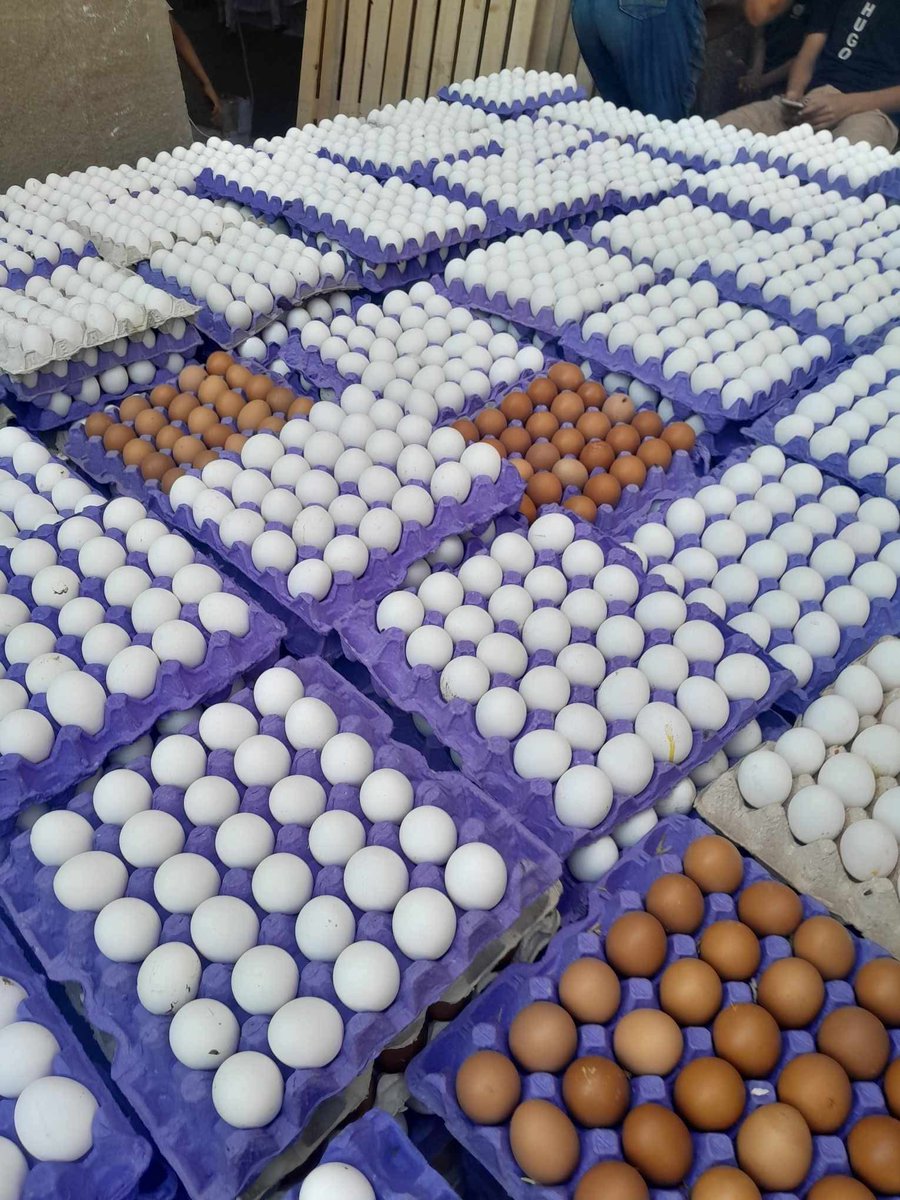 Dari warga Gaza X Dr
 Mohammed Hamad <a href="/Medo198518/">dr. mohammed hamad - Gaza</a>
👇

Kebenaran harus diungkapkan — bagikanlah.
💔 Israel membunuh kita dengan uang kita sendiri

Harga di Gaza tidak naik secara kebetulan —
setiap truk yang masuk membayar "biaya koordinasi" yang sangat besar kepada Israel:
800.000