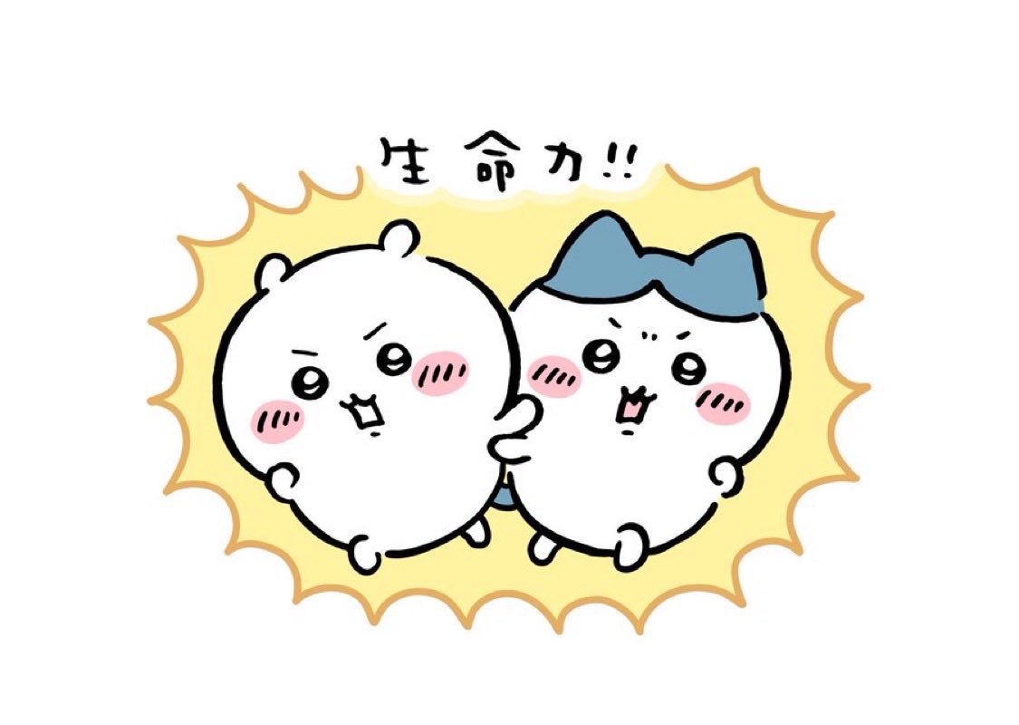kinakomoti_u_u's tweet image. #ZOZOSALE箱CP
初白箱だから記念に✨️