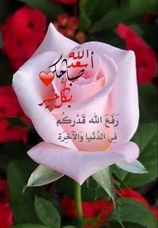 #صباح_الخيرᅠ 
#صباح_الأشياء_المُشرقة 
#صلوا_على_الحبيب_محمد_ﷺ