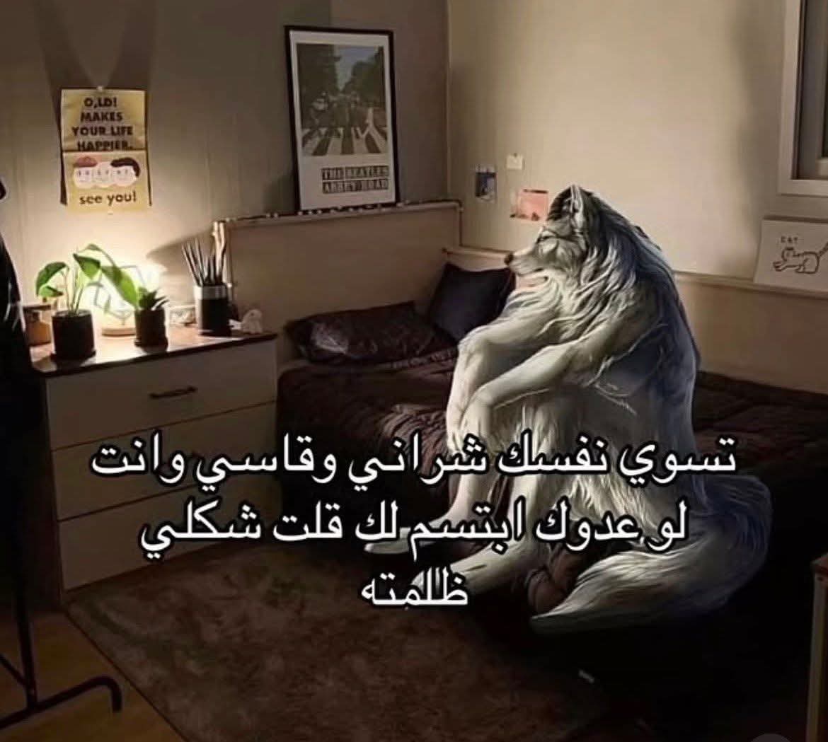 Raneem El-shenawy (@raneem_shenawy) on Twitter photo 