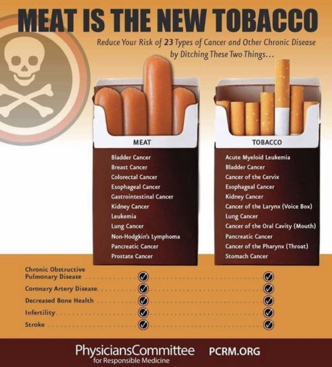 Vegan Future (@veganfuture) on Twitter photo 