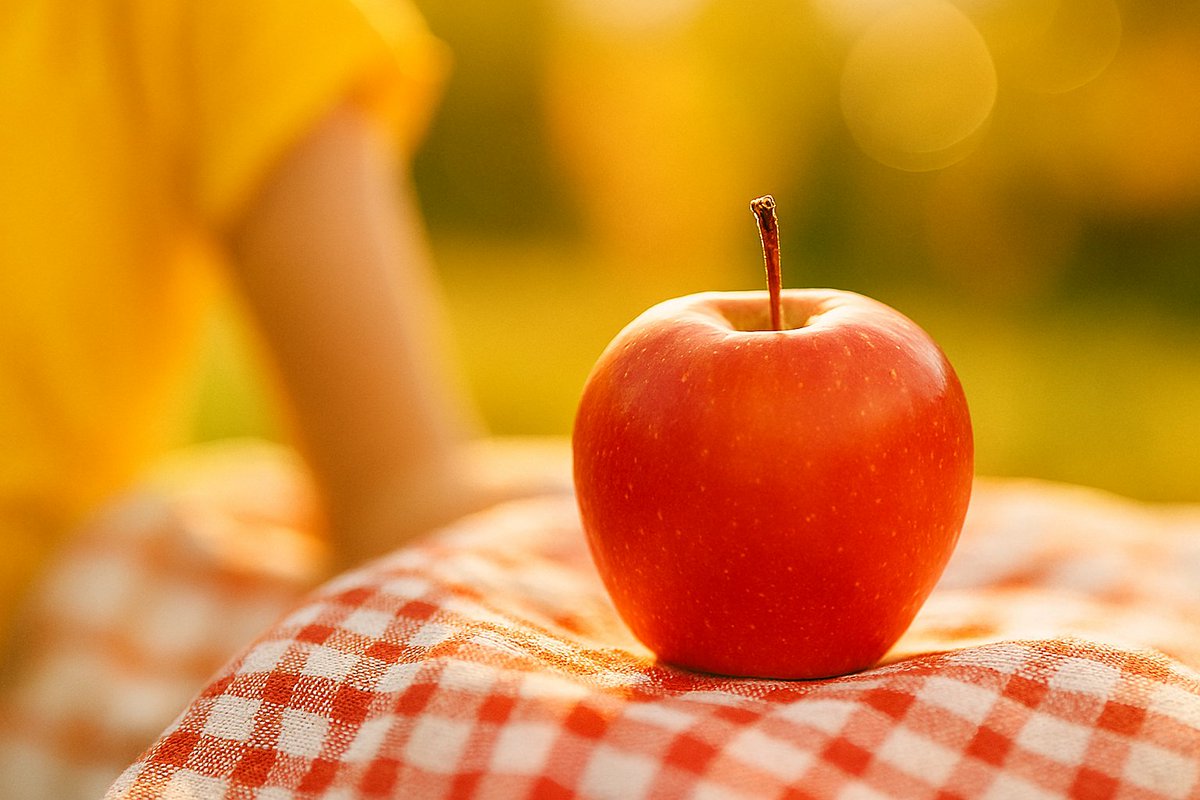 hikari_ccccc's tweet image. お菓子食べるくらいなら、りんご食べたほうがいい。
なんとなく疲れてる日ほど、体が「やさしい甘さ」を欲しがってる。りんごは食物繊維が豊富で、おなかの調子を整えてくれるし、香りには気分を切り替える力がある。むくみが気になる日や、寝不足の朝にも。
甘いりんごを見分けるコツはリプ欄に↓