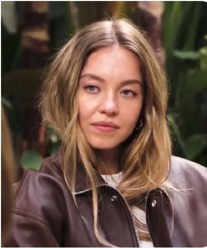 James Lindsay, anti-Communist tweet media