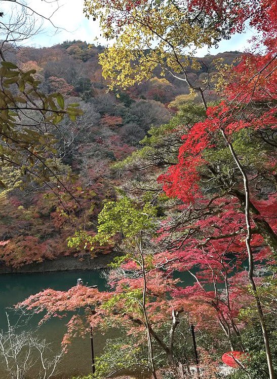 toshiページ Toshi M on X