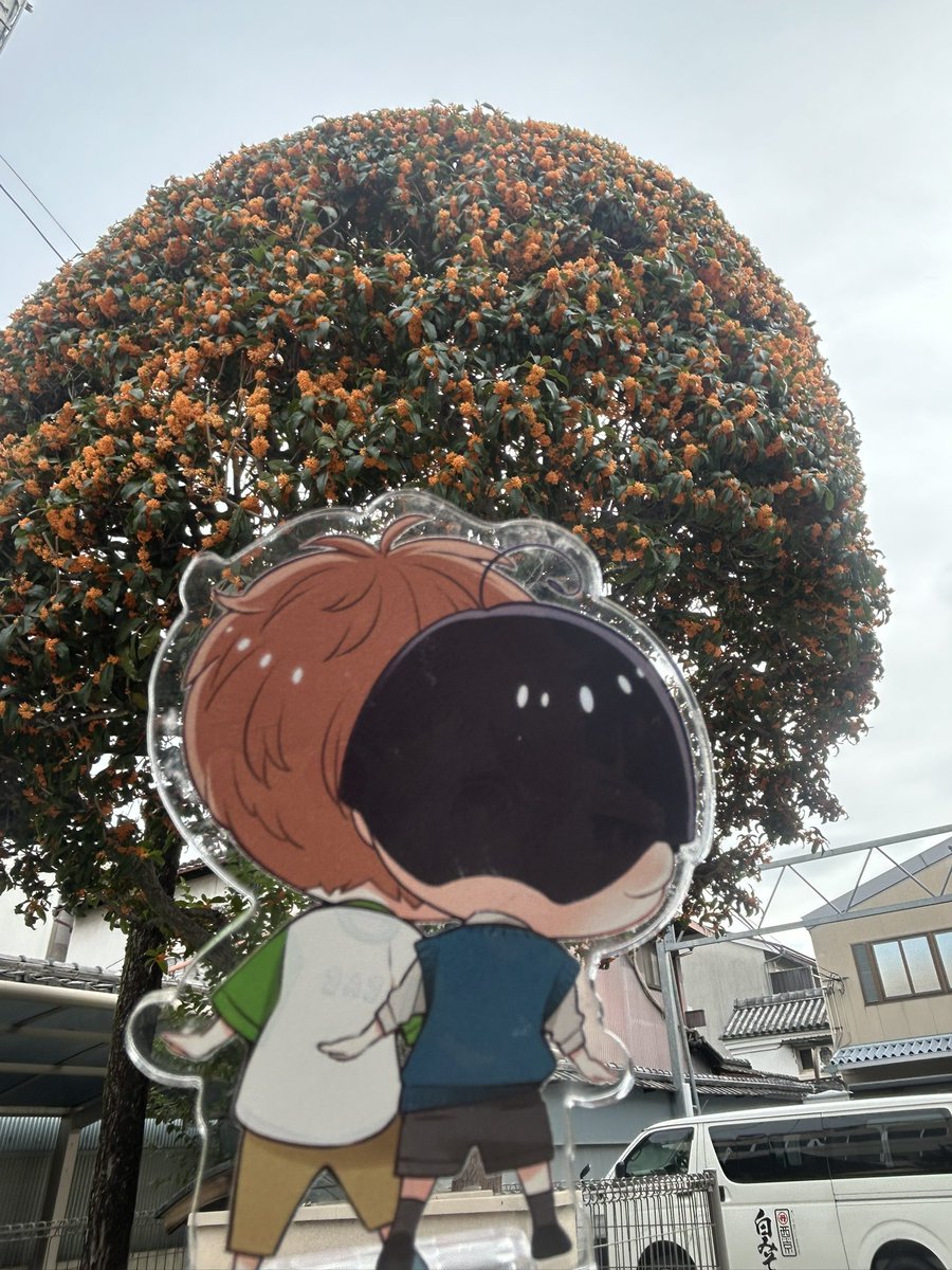 ななしのごんべえ@プロフ必読！！お急ぎ様　454040サイドアクリル　お急ぎ なし on X