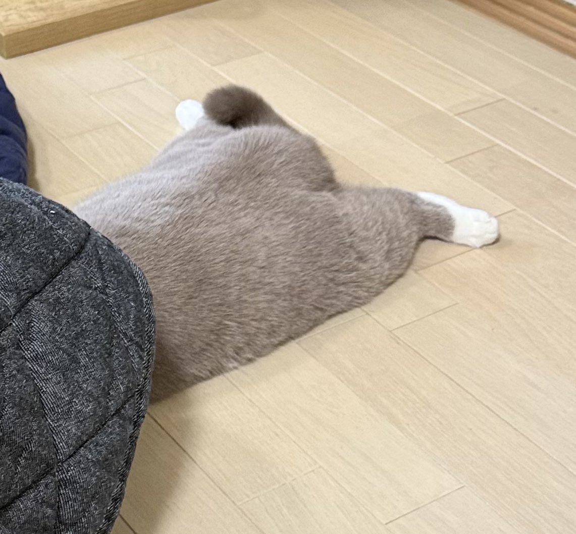 みみみ みみみちゃん (@mimimi______64) / Posts / X