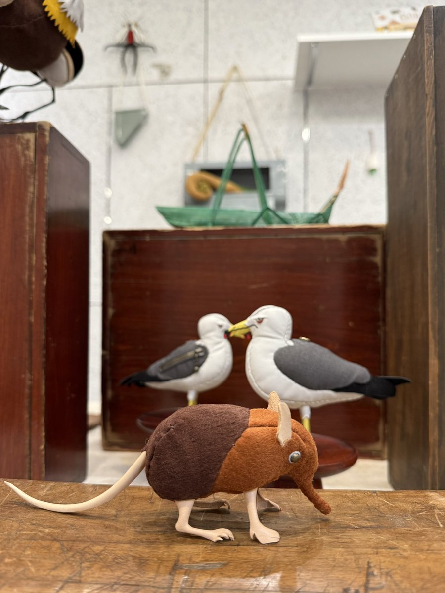 あまのじゃくとへそまがり (@amaheso_sp) / Posts / X