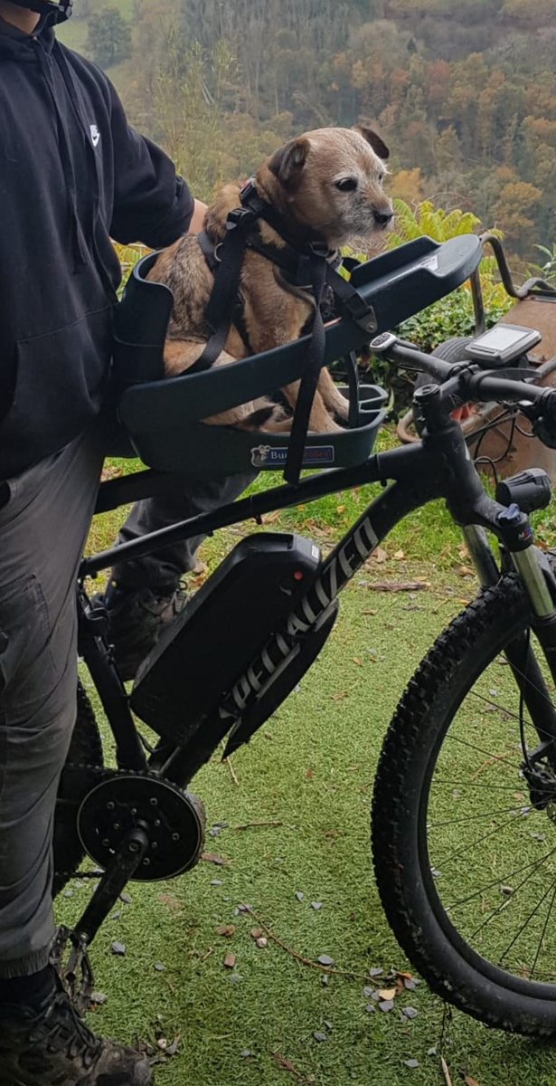 UnitOrange's tweet image. Though 80 dog-years-old, this canine Orange Unit is never to old to enjoy a bike ride.