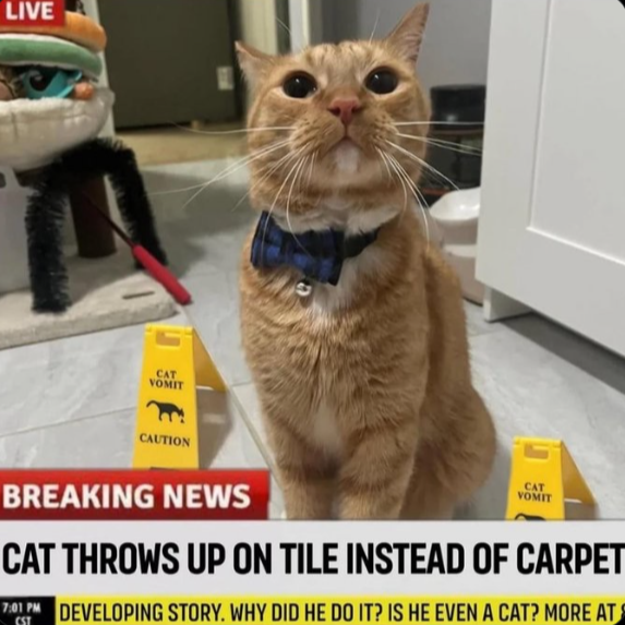 imwalkinghere (@thesego2eleven) on Twitter photo 