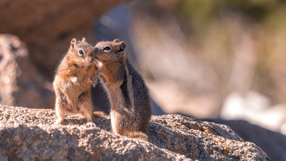 Smile and Wave: The Quiet Power of Integrity open.substack.com/pub/petergourr…