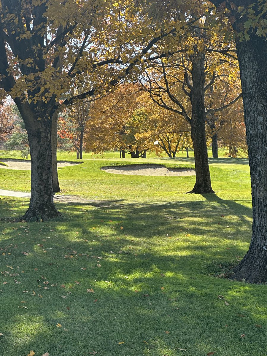 Brian Wingert tweet media