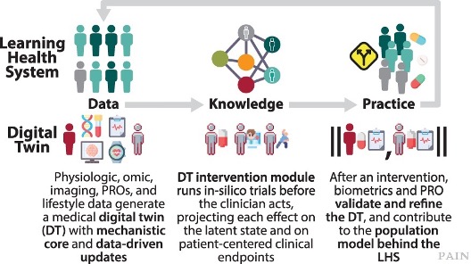 What if your doctors could try out treatments on your digital twin before you even take them?

Doctors mostly treat pain patients the same way, even though everyone experiences pain differently. Stanford researchers are building digital twins, a computer model of a real person