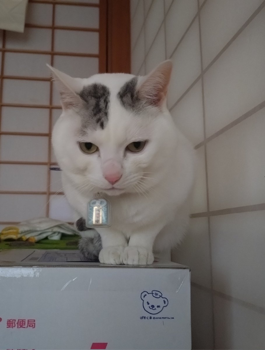 木山神社の招き猫 on X