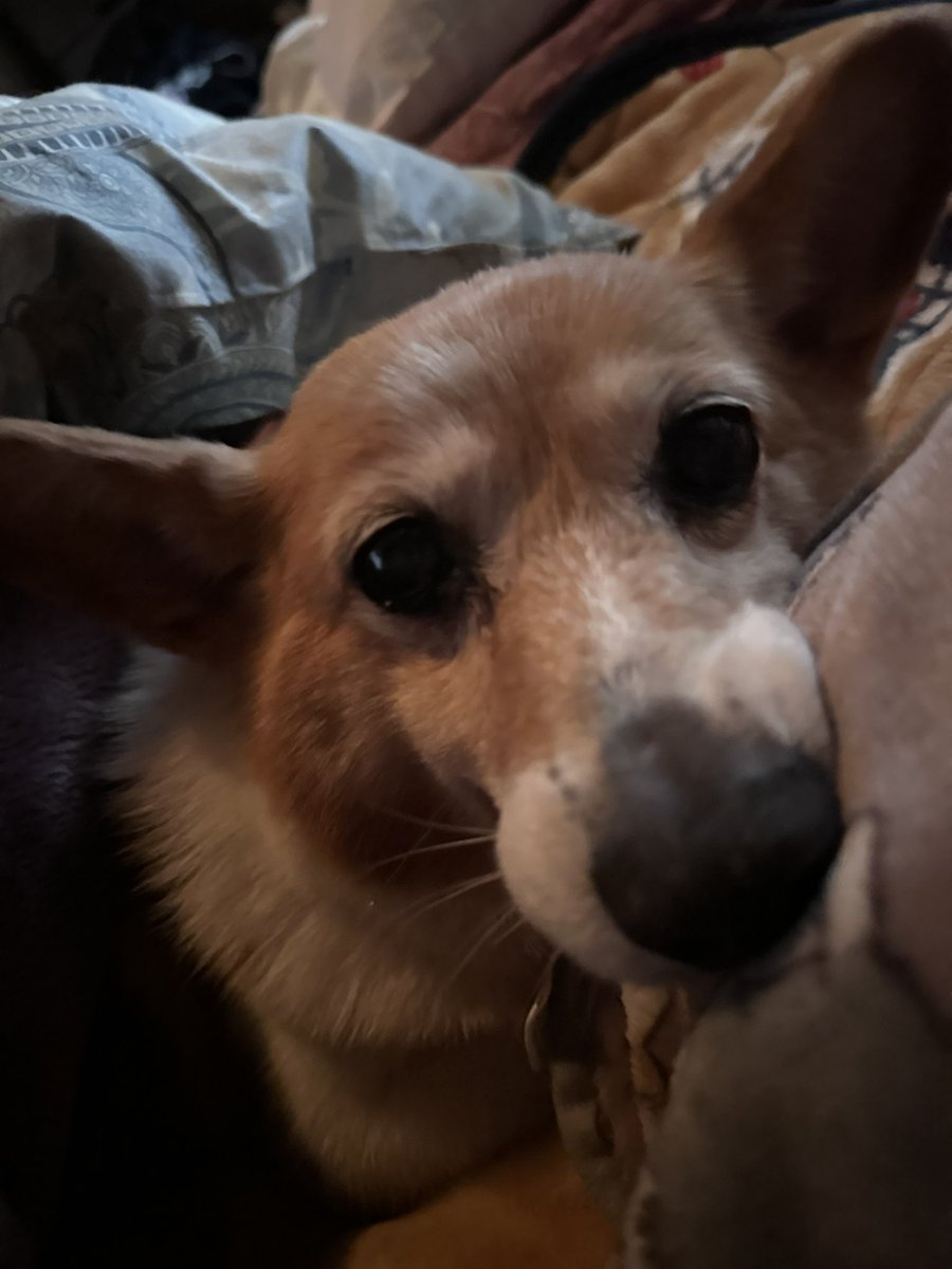 夜中に何回も起こされるけど、
何して欲しいのか分からなくてもどかしい
寝不足でもとってもかわいい我が子💕
こんな時間も貴重なんだろうなと思う