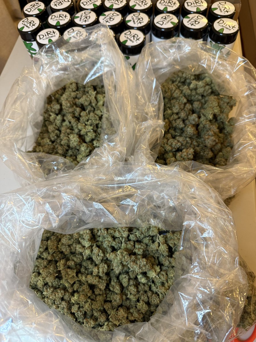 JeuGreen's tweet photo. DIRT SEASON. 

RESPECT THE GROWER 🪴🪴 https://t.co/PmWfIXEHGF