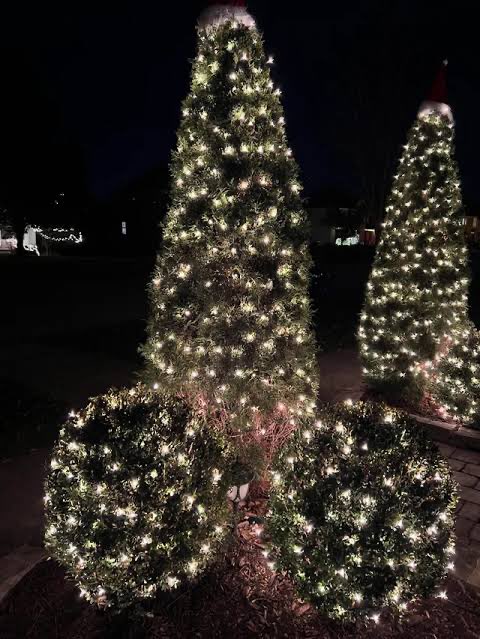 Thank you <a href="/unclegarytrucks/">Uncle Gary</a> and <a href="/WeaselHandyMan/">weasel</a> for hanging my Christmas lights this year. The entire neighborhood loves them and they all stop and yell something out of their window when they drive by.