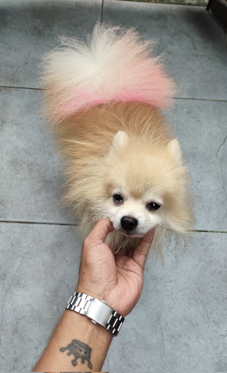 When people start complaining about their kids, but i cant relate because mine is too perfect.