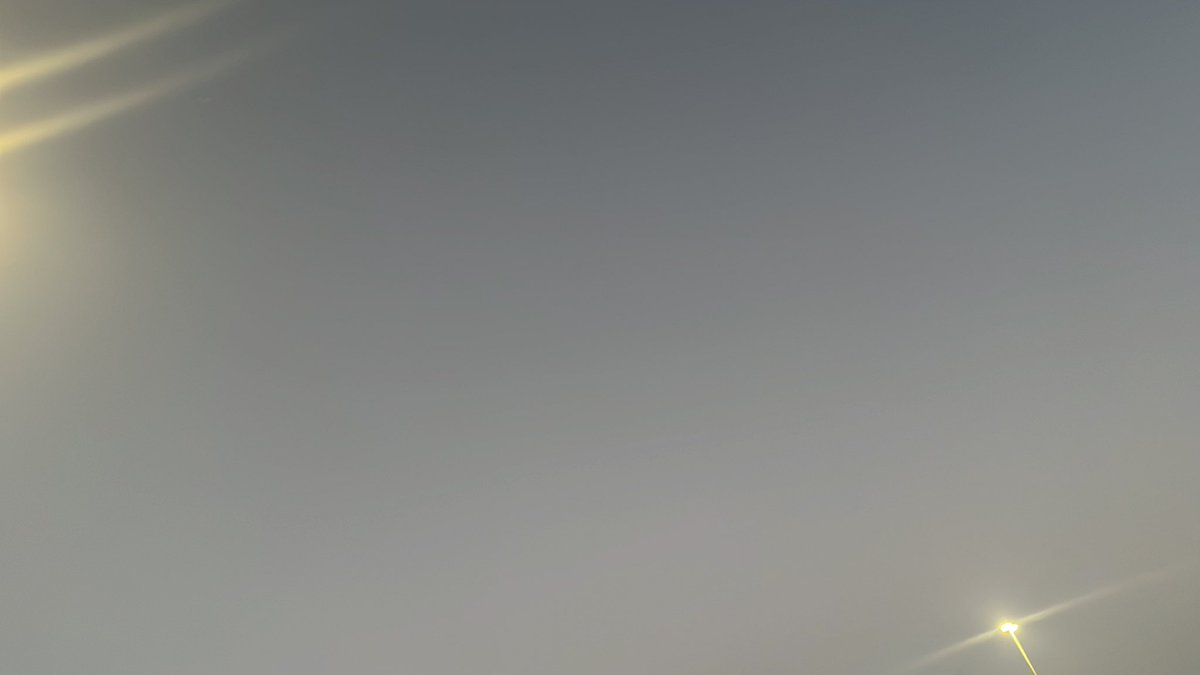 Chalmette Owls (UNOFFICIAL) 🦉 tweet media