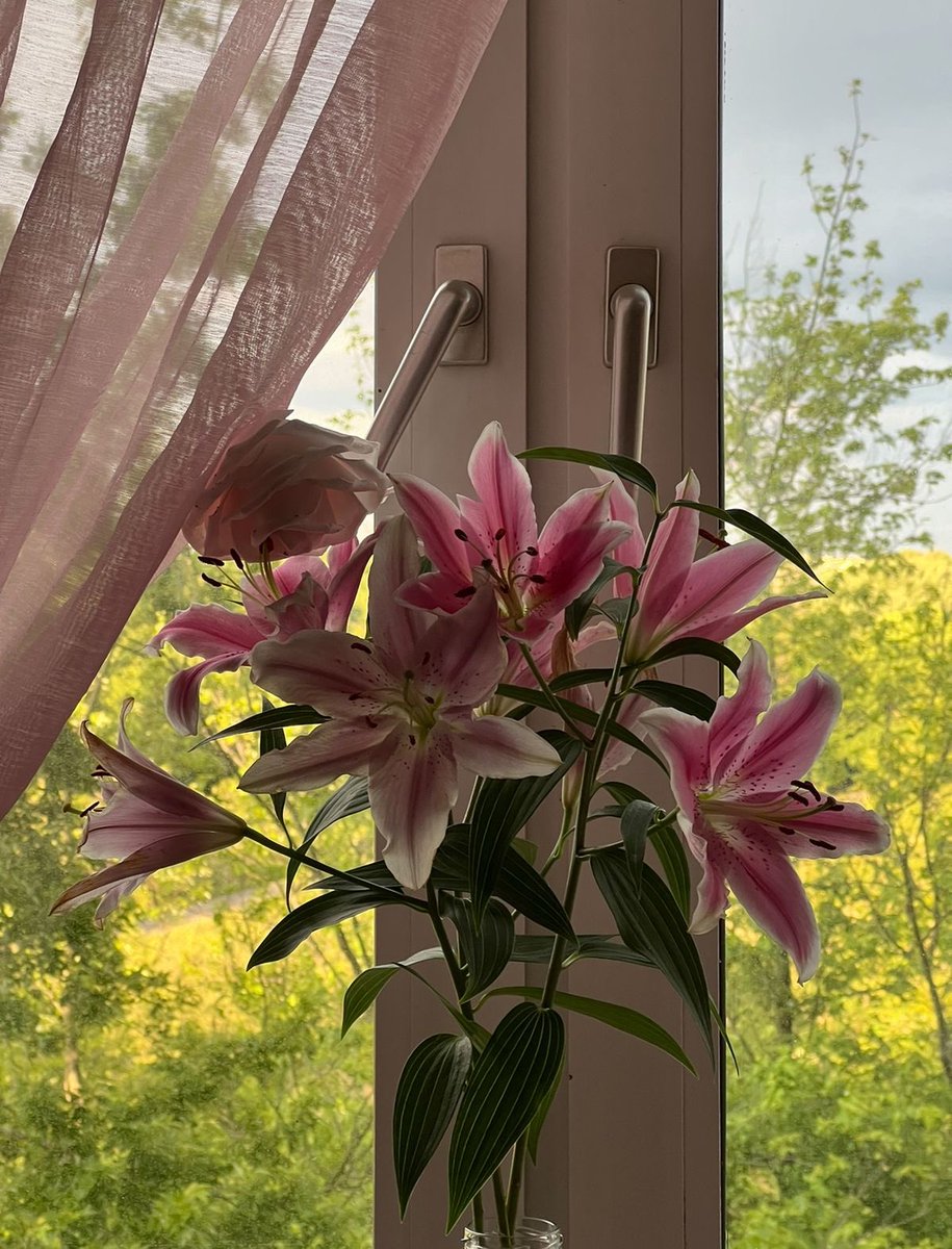 𝗟𝗲𝗲𝗻 (@1leio) on Twitter photo 