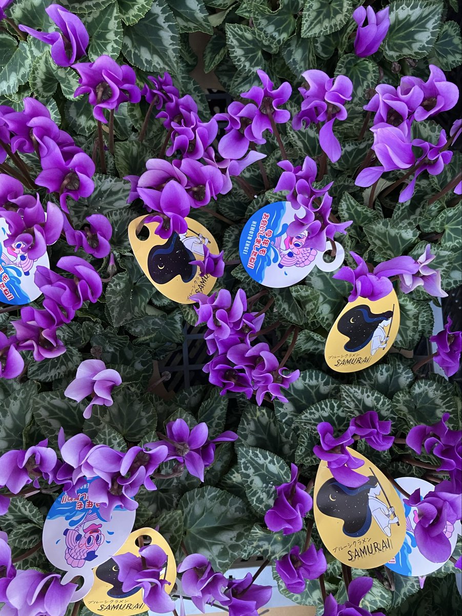 公財）鹿沼市花木センター公社 on X