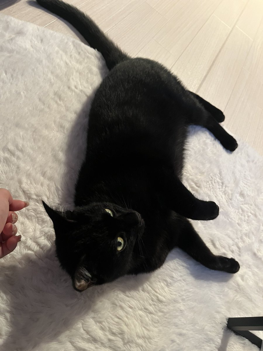 ジャグ様☆ (@ma_sa_yo_06) / Posts / X