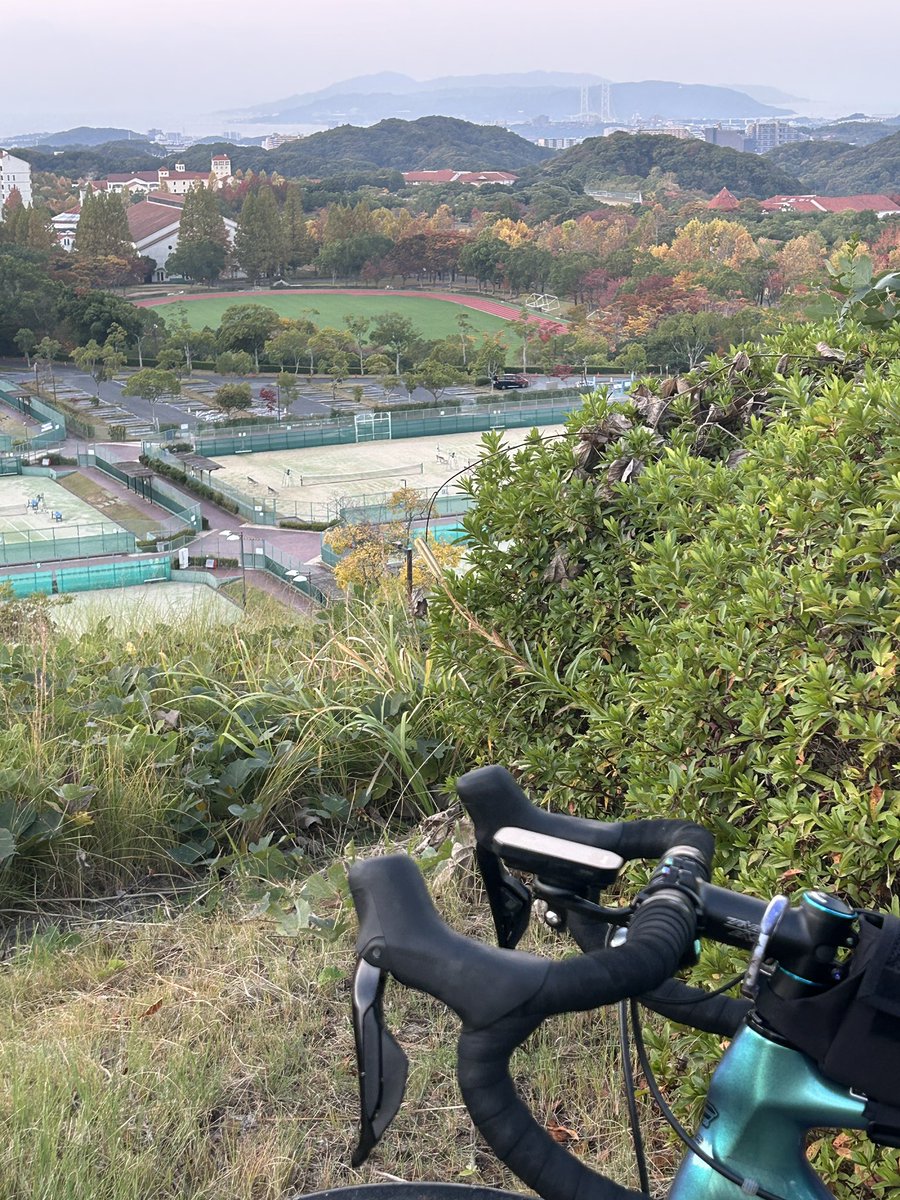 twobytwo_sp's tweet image. 今朝のポタリング🚴
そろそろ手袋も冬用が必要に
感じてきました。