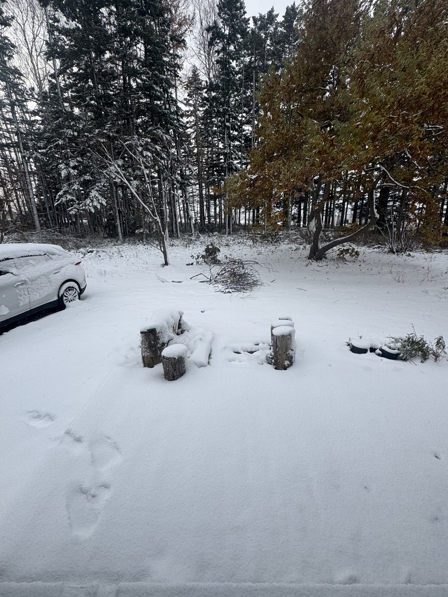 jinendokachi's tweet photo. ひと晩でしっかりと積もりました。
#網走　#網走積雪　#網走雪景色 https://t.co/eQFwwAi4Zd