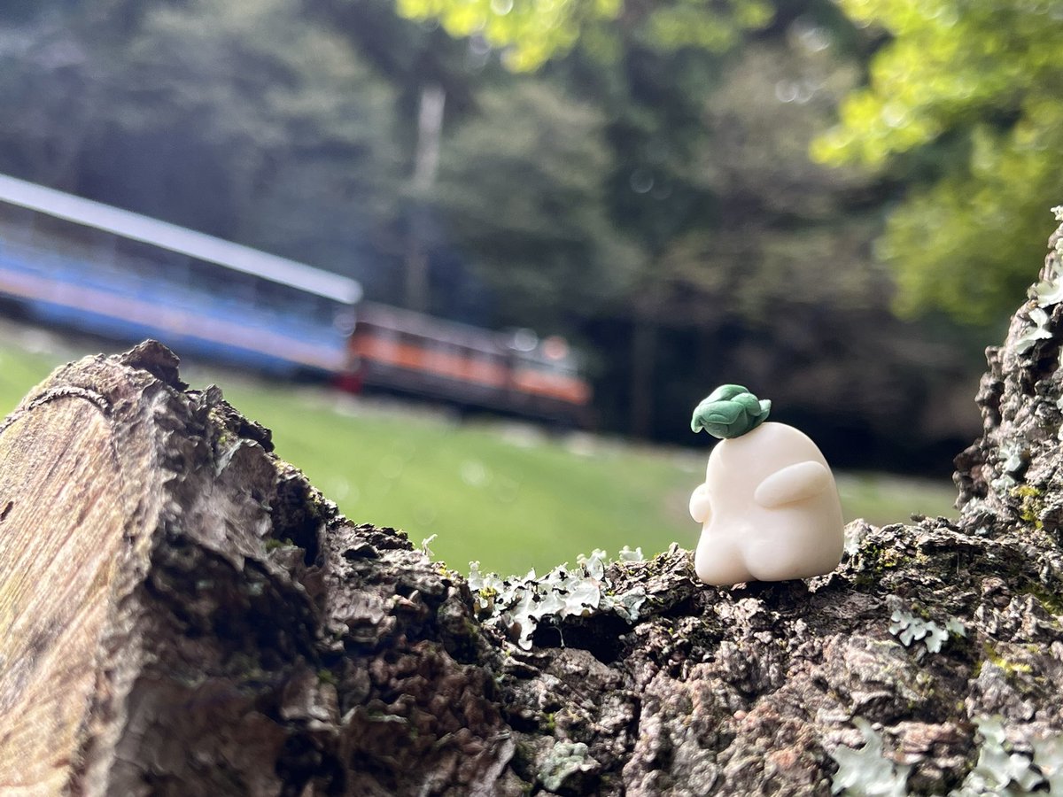 ボクはダイコン！⚪️デザフェス62 H-355 (@daicon_happy) / Posts / X