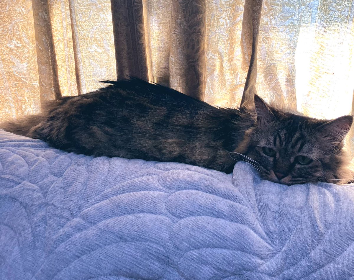 秋の朝 - Search / X