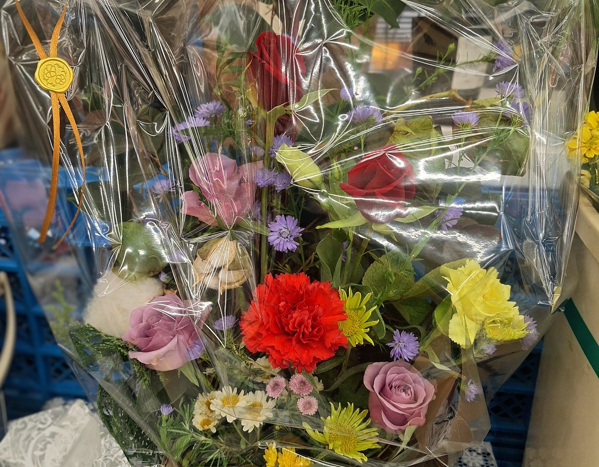 MayumiMASUI(🍀´ー` )ますいまゆみ/ﾌｸﾌﾟｸ on X