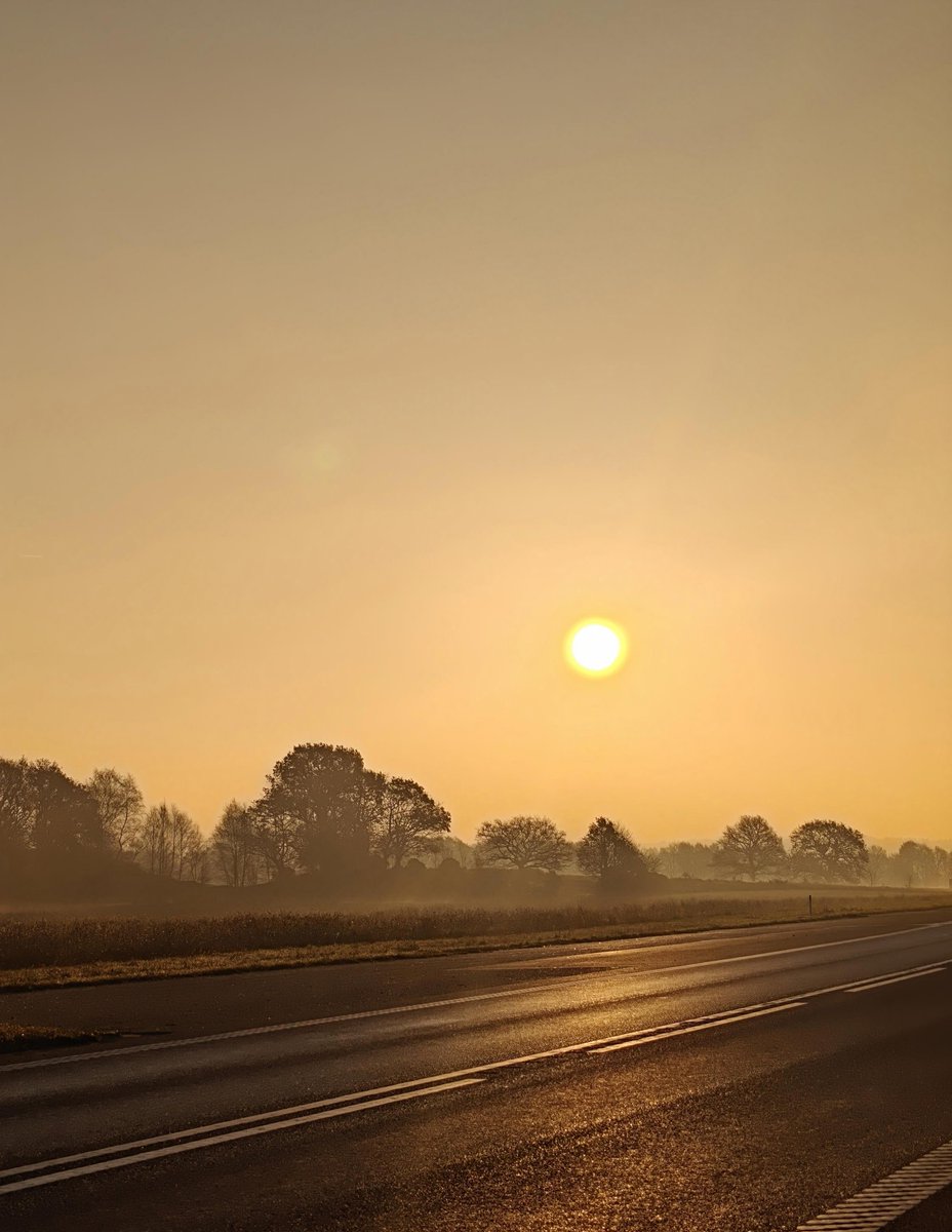 _Frodda's tweet image. 