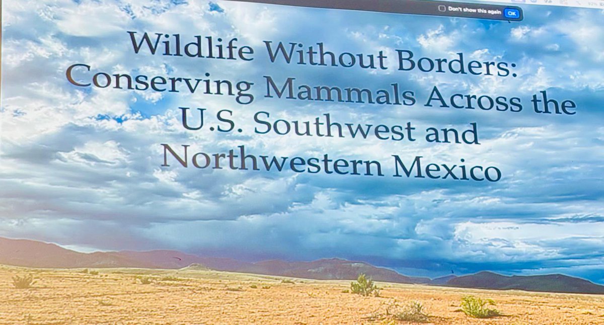 ConsulMexAlb's tweet photo. #MuchoMéxicoEnNuevoMéxico

#TeamAbq @ConsulMexAlb @SRE_mx joined the talented Mexican scholars participating in the panel “Wildlife Without Borders: Conserving Mammals Across the U.S. Southwest and Northwestern Mexico”, held at @UNM. 

Among the distinguished speakers were:
🎓 Dr. Jesús A. Fernández, Professor of Taxonomy and Systematics of Biodiversity at the Universidad Autónoma de Chihuahua (@UACHMx) and 2025 COMEXUS Fulbright Mexico Studies Chair @UNM;
🎓 Dr. Cuauhtlihuatl Vital García, Professor at the School of Veterinary Medicine at the Universidad Autónoma de Ciudad Juárez (@somosuacj);
🎓 Dr. Enrique Martínez Meyer, Professor at the Institute of Biology at the Universidad Nacional Autónoma de México (@UNAM_MX);
🎓 Dr. Jason Malaney, Curator of Biosciences at the New Mexico Museum of Natural History and Science (@NMMNHS_Paleo).

The discussion, moderated by Dr. Samuel Truett, Professor and Director of the Center for the Southwest at the University of New Mexico (@UNM), explored challenges and opportunities for cross-border species and ecosystem conservation. 🌎

The event fostered academic and scientific collaboration between Mexico and the United States, emphasizing the importance of joint efforts to protect our shared biodiversity. 

Special thanks to Dr. Frances Hayashida, Director of the UNM Latin American & Iberian Institute (LAII) @unmlaii, 
 for her leadership in strengthening these bridges of collaboration.