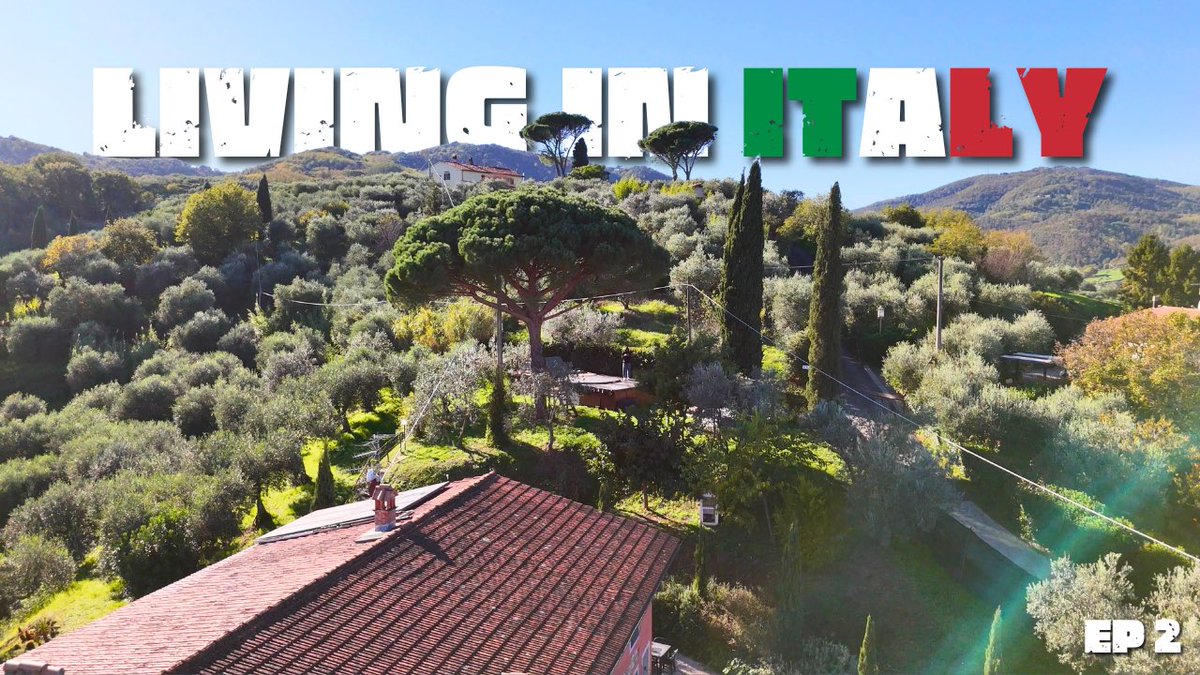 Seneca Knight tweet media