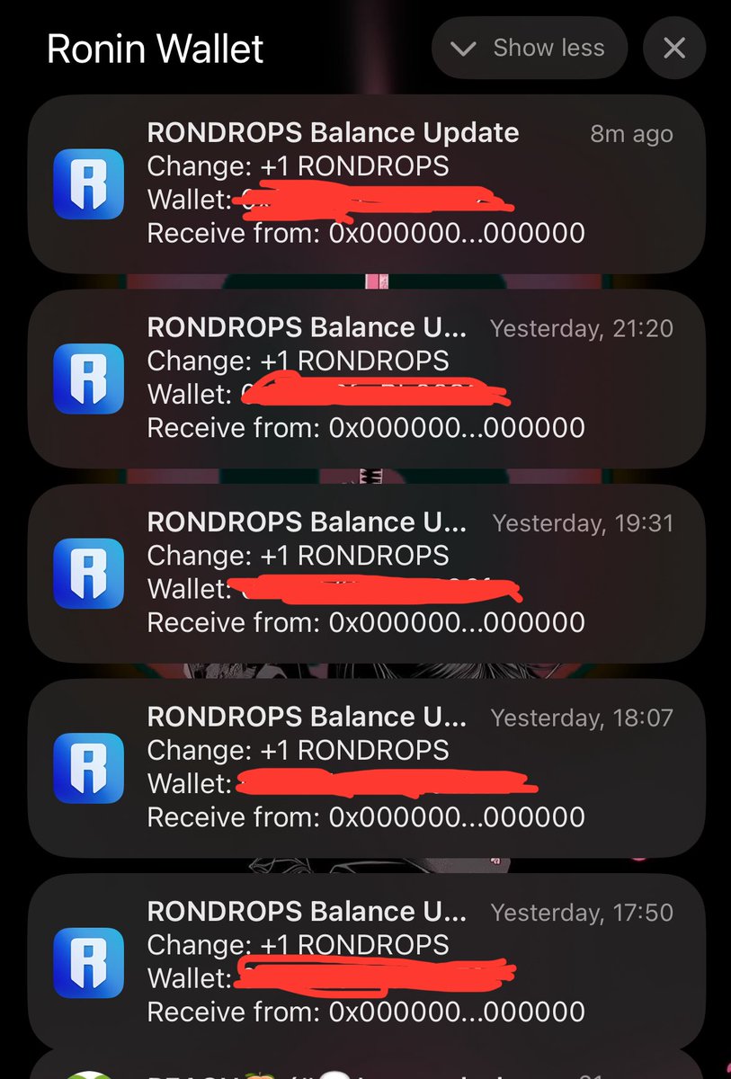 🎀 kimbokitten tweet media