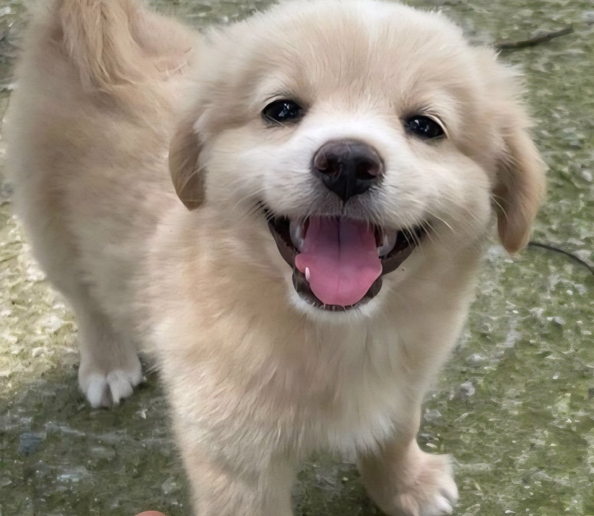 눙안나는 그대를 기대해요 넘버 이후로 브라운 보는 눈 이럴뿐이고