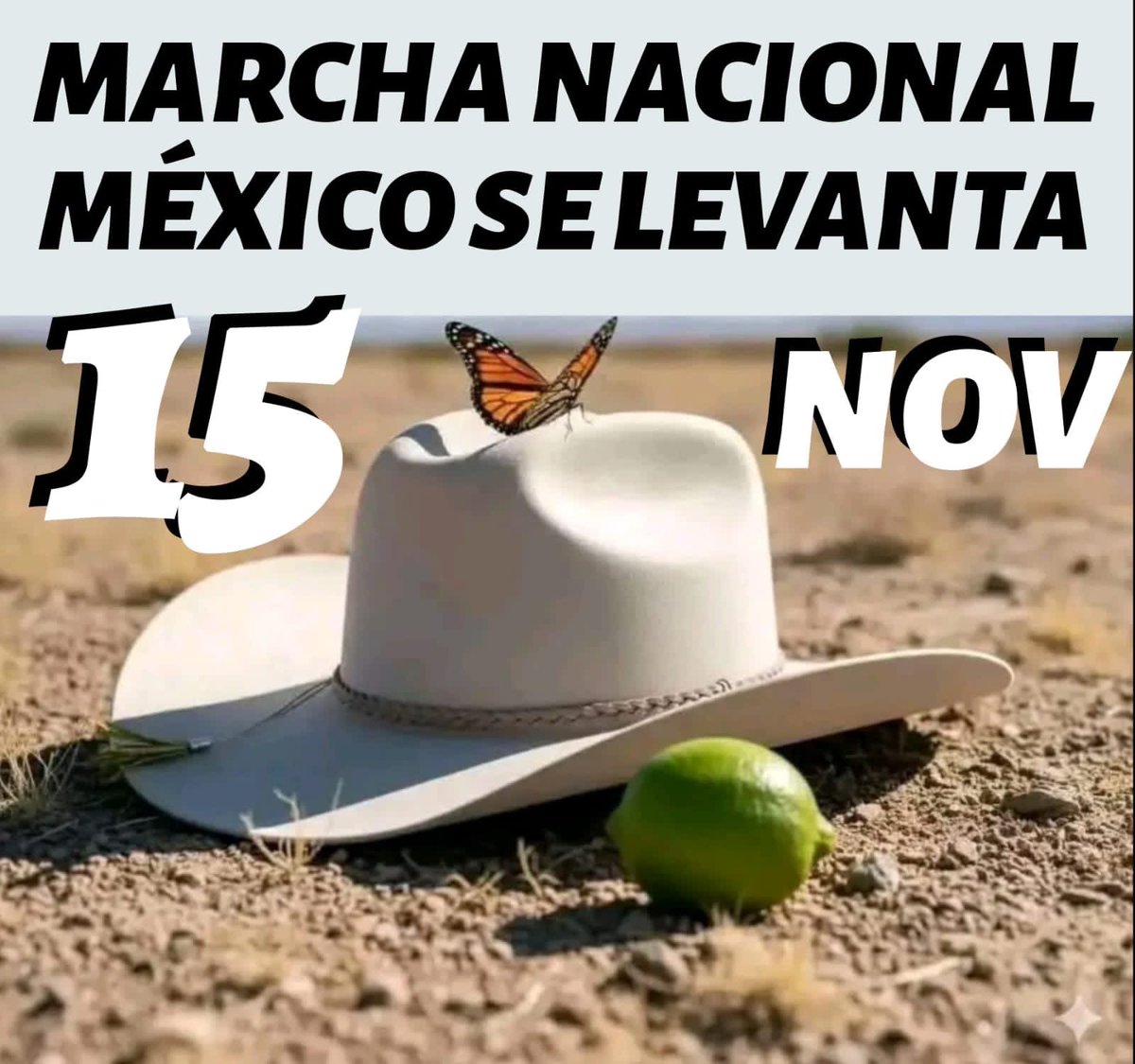 mario_dico50's tweet image. No lo olviden ! Ya basta de los acuerdos de ⁦@PartidoMorenaMx⁩ con el Crimen Organizado .