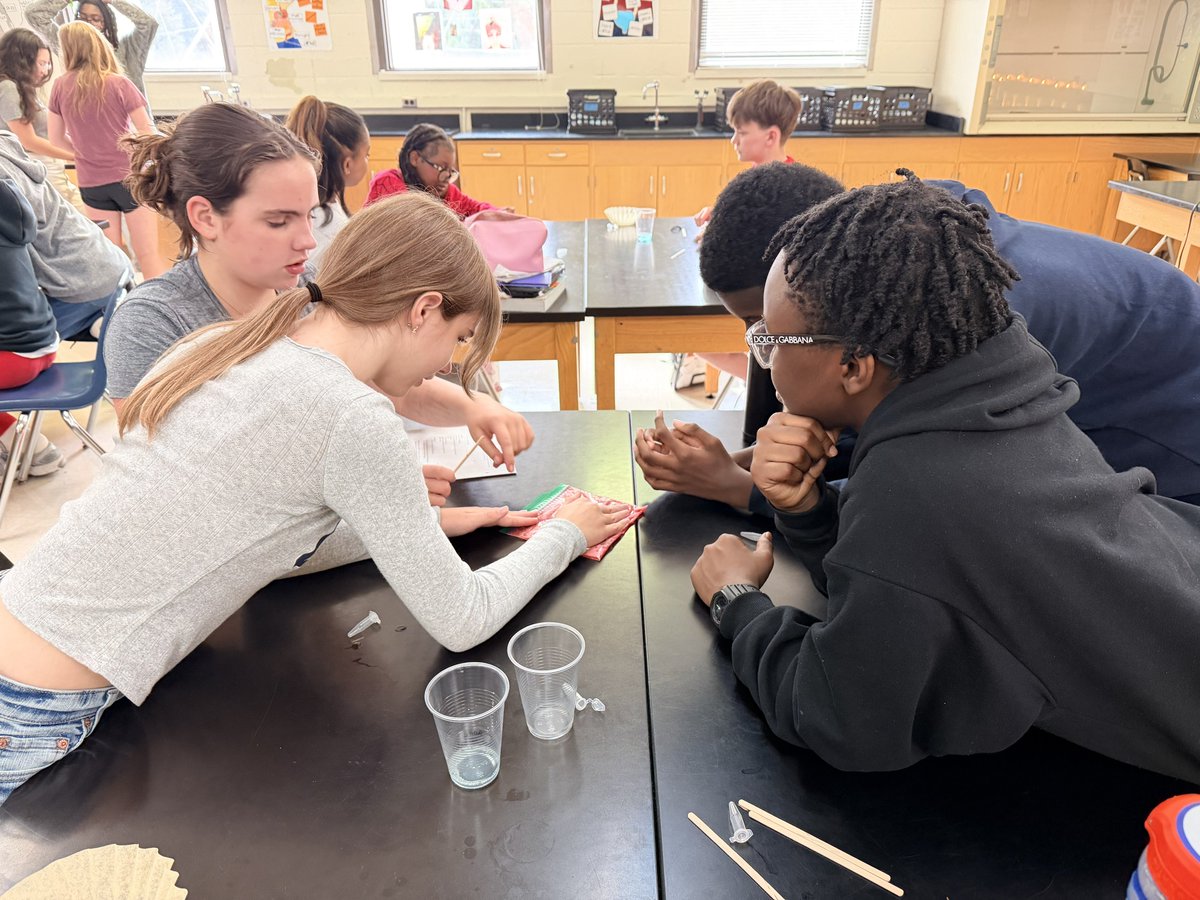 RBAILEY_EDU's tweet photo. 🧬 My students had a blast extracting DNA from strawberries today.!!! Real hands-on genetics at work! 🍓🔬
@MerriweatherEDU @fhenderson1908 @FPB_SuttonPA @apsupdate @SuttonCougars https://t.co/9zeElZb4T9