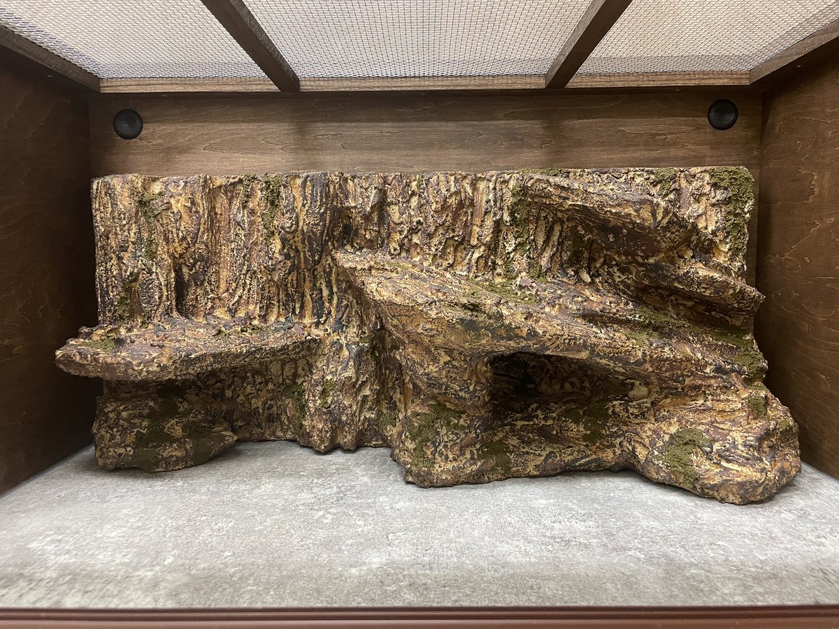 FandK 爬虫類木製ケージ (@mokusei_keiji_2) / Posts / X