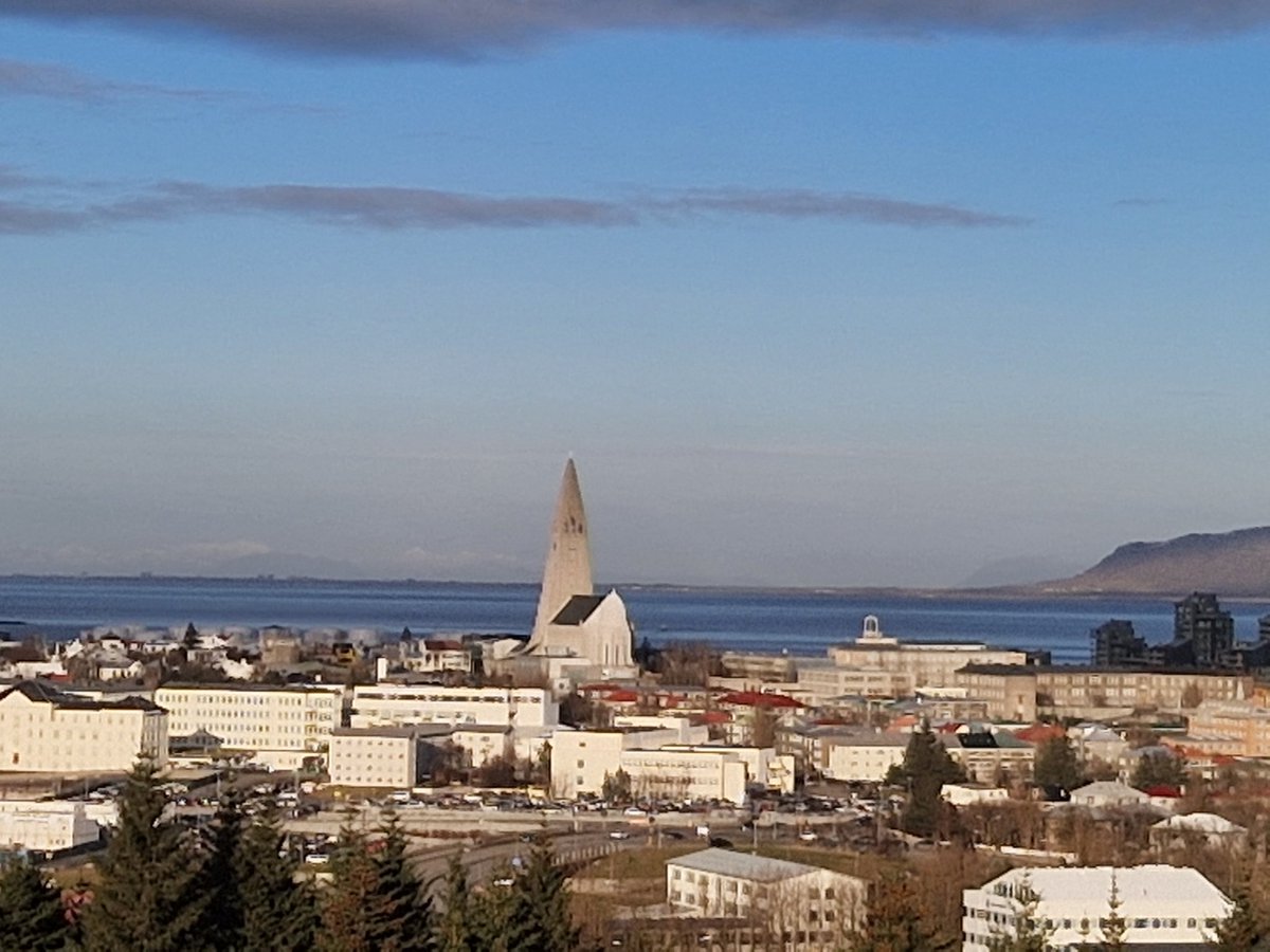 malcolm ward tweet media