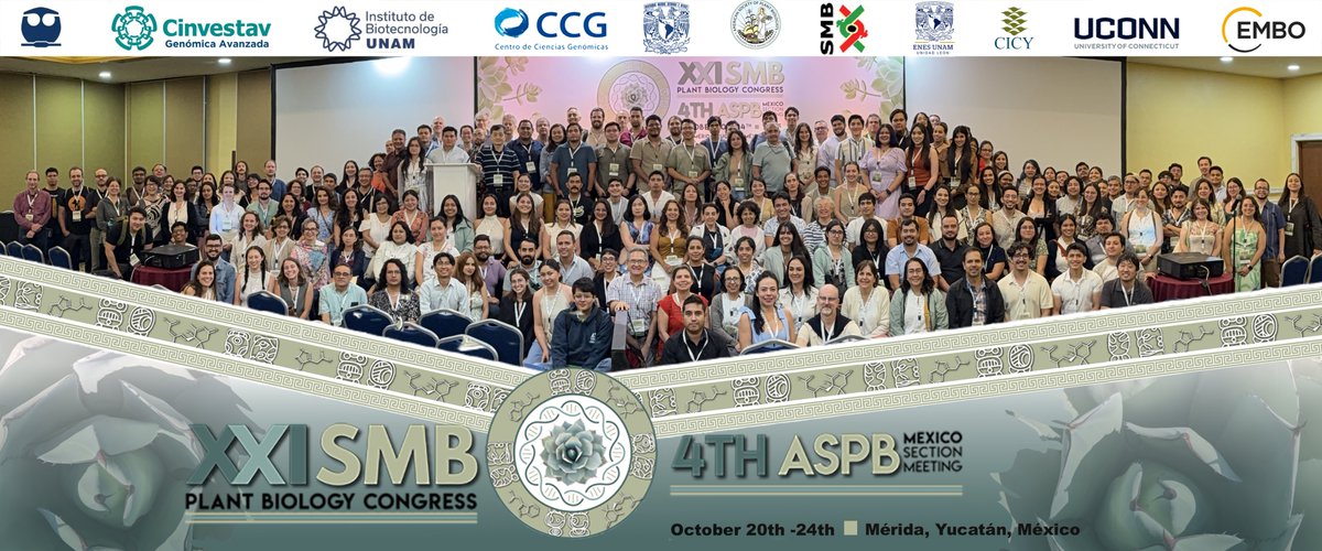 SMBPlant tweet media