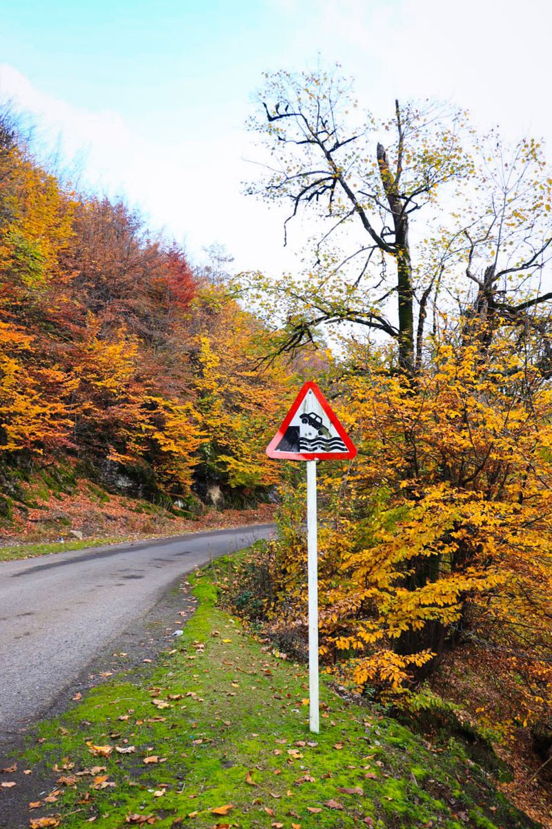 روستای دیله،آستارا،گیلان🍁
پاییز
Autumn in Astara,Iran.
#autumn #fall #photographer  #photo  #Iranian 
#ایران  #پاییز