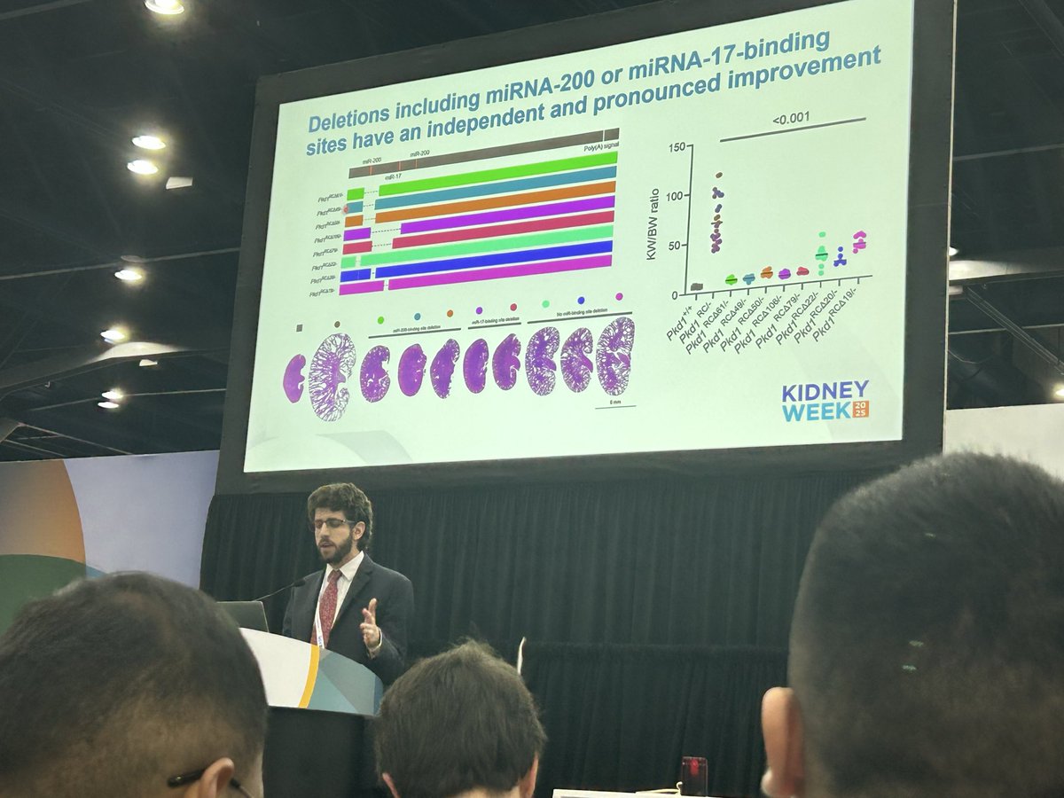 NBalakrishnanMD's tweet photo. Day 2 of #ASNKidney and #Kidneywk going strong. So many folks around me involved in pushing the needle! https://t.co/LH9lzwUHbj