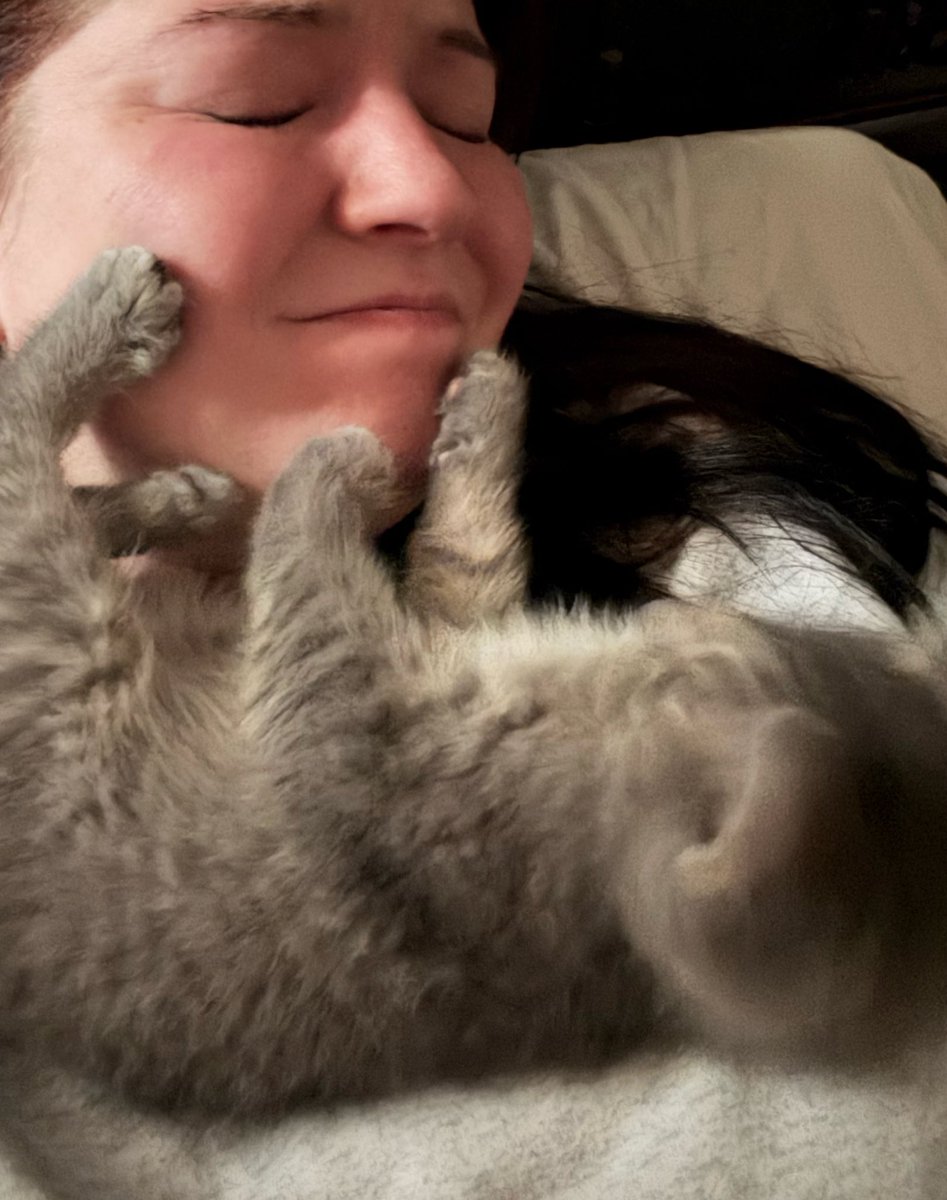 luigiscondo's tweet photo. Told my wife we were never getting another kitten. Adult/elder cats only. *I* brought a kitten into the home. The kitten in question: https://t.co/SSLciPPScG