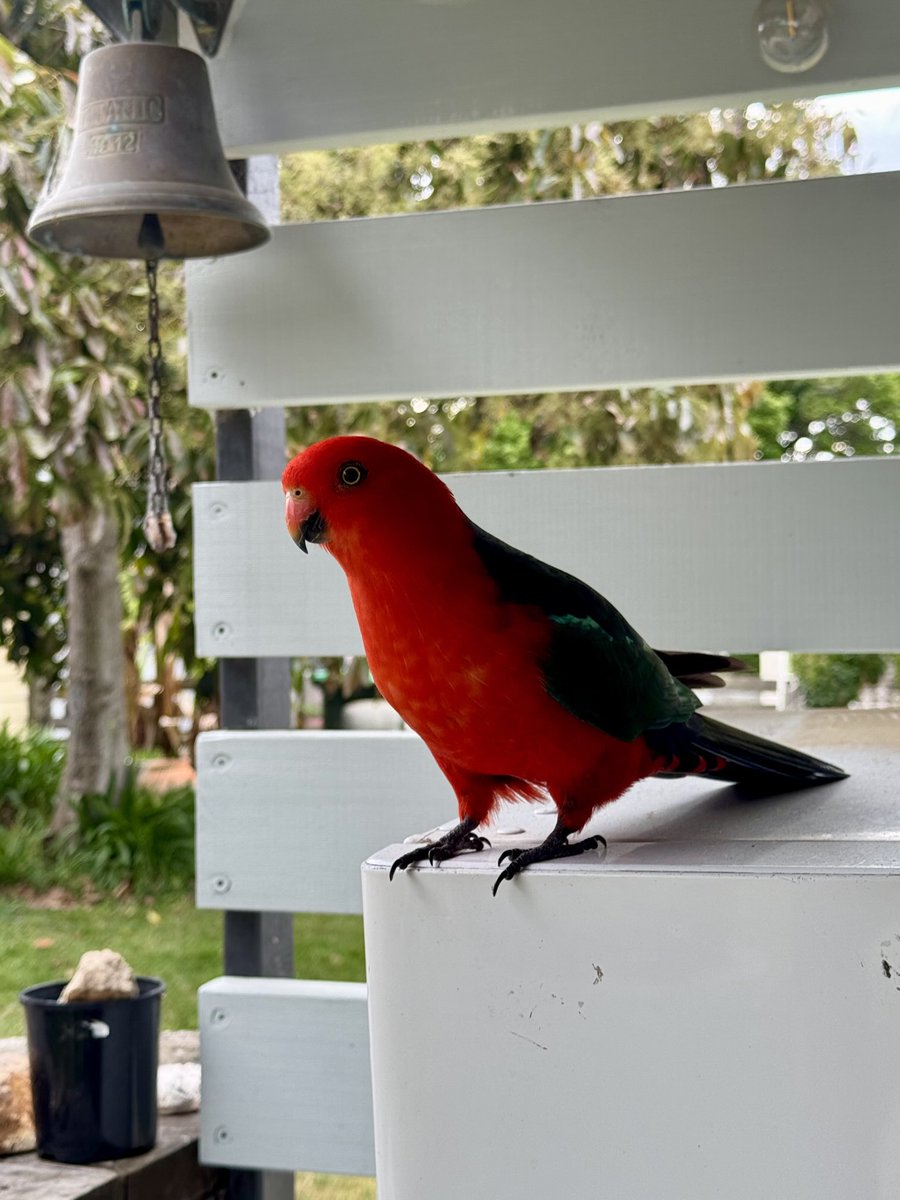 No bell rings, too early for happy hour 🍺🧀🥂