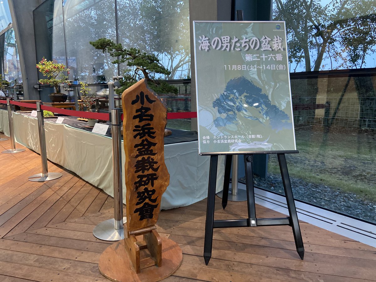 海の男の盆栽展】 本日11月8日(土)から11月14日（金）まで小名浜盆栽