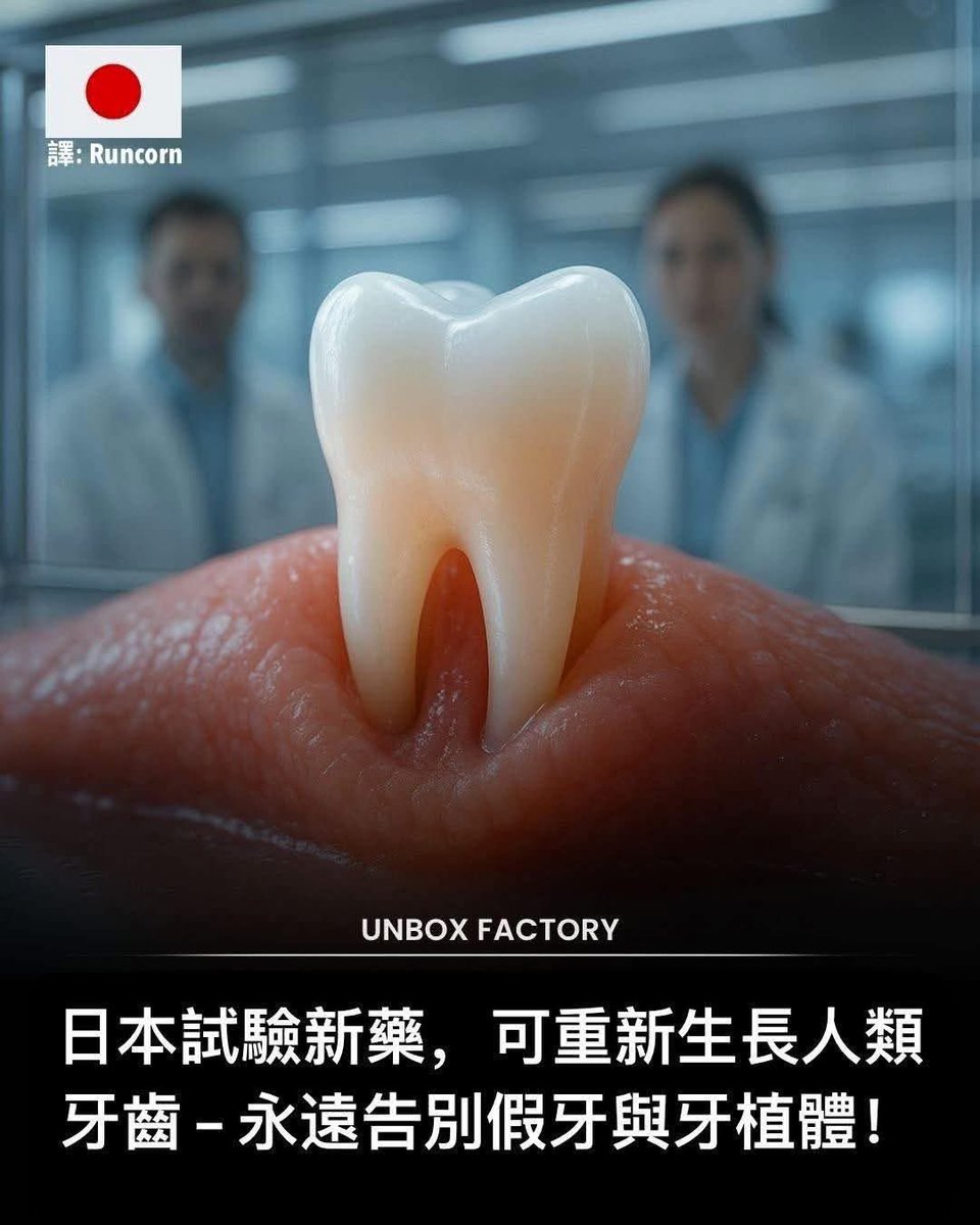 YujunWale's tweet image. 日本真的要讓人「長回牙齒」了！全球首款「牙齒再生藥物」正式進入人體試驗階段 。
想像一下──掉牙後不用假牙、不用植牙，而是讓新牙自然長回來。
這不再是科幻，而是正在日本發生的真實研究。
【突破來自誰？】
領軍的是大阪北野醫院的牙科學者 高橋克（Katsu…