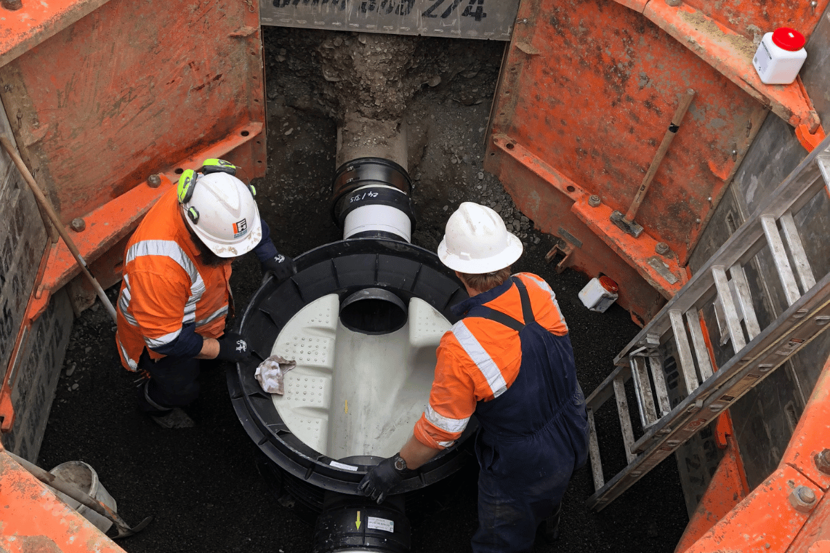 Infoblaze Newzealand tweet media